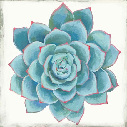 Framed Pastel Succulent II Print