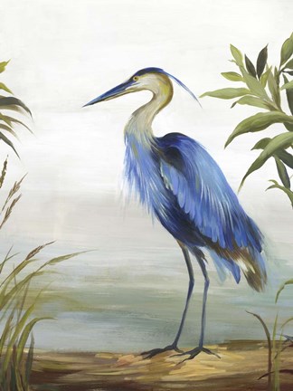 Framed Blue Heron Print