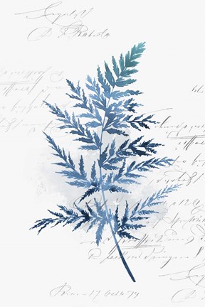 Framed Botanical Blue I Print