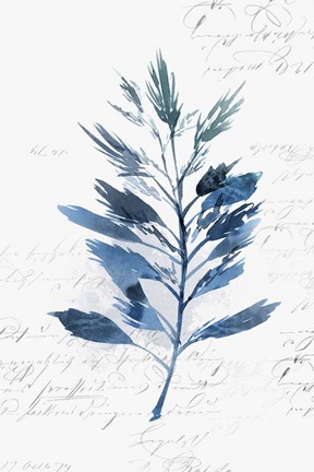Framed Botanical Blue II Print