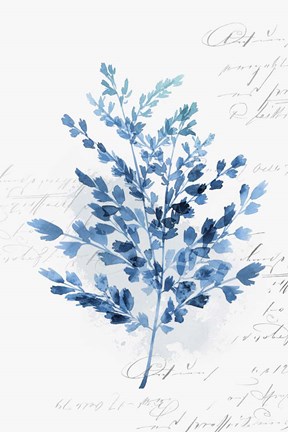 Framed Botanical Blue III Print
