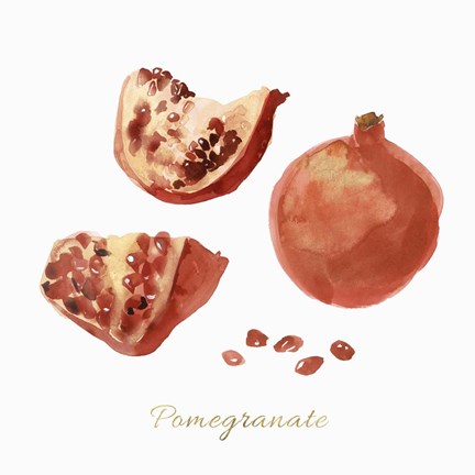 Framed Pomegranate Print