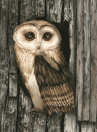 Framed Owl Sentry Print