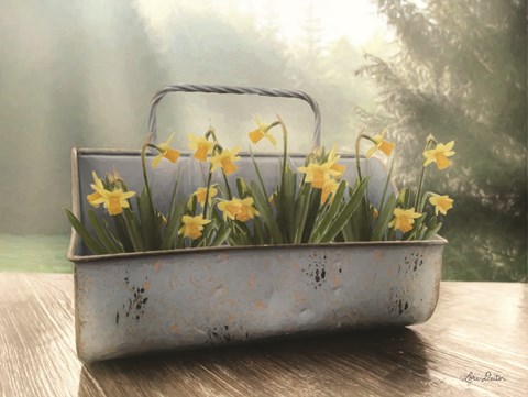 Framed Daffodil Tin Print