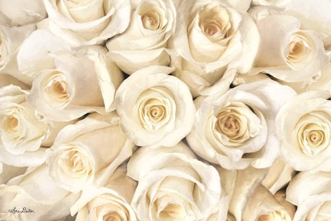 Framed Top View - White Roses Print