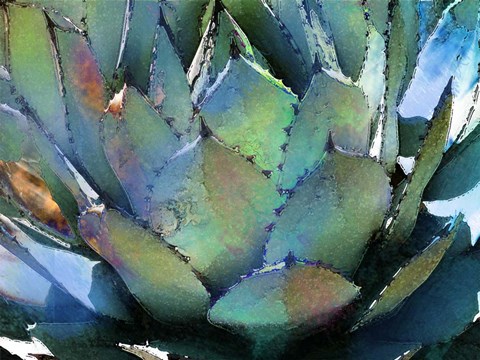 Framed Agave Print