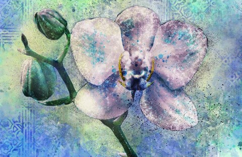 Framed Orchid Watercolor Print