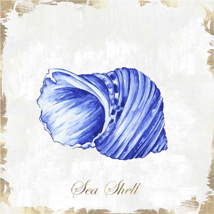 Framed Blue Seashell Print