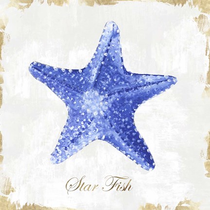 Framed Blue Starfish Print