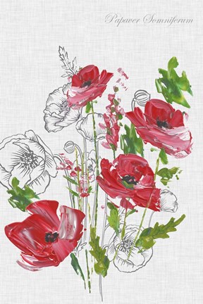 Framed Botanical Poppies Print