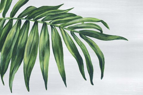 Framed Tropical Leaf I Print