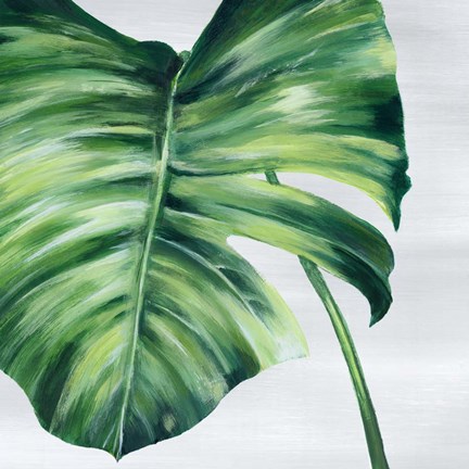 Framed Tropical Leaf II Print