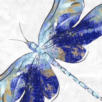 Framed Blue Dragonfly Print