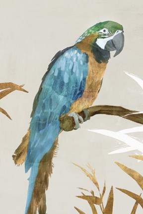 Framed Blue Parrot I Print