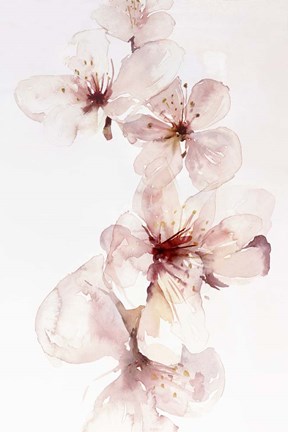 Framed Watercolor Blossoms III Print