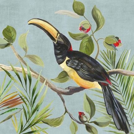 Framed Paradise Toucan II Print