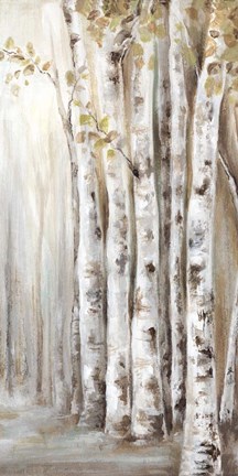 Framed Sunset Birch Forest II Print