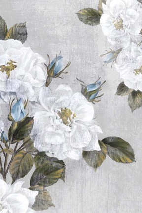 Framed Graceful II Print