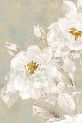 Framed White Rose II Print