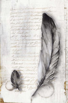 Framed Vintage Feathers II Print
