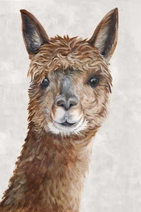 Framed Suri Alpaca II Print