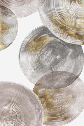 Framed Spiral Rings III Print