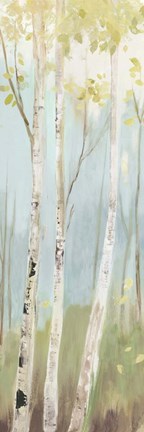 Framed Golden Birch I Print