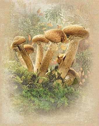 Framed Happy Family Print