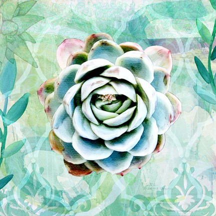 Framed Desert Rose Garden Print