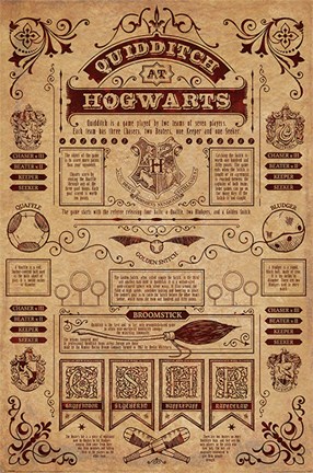 Framed Harry Potter - Quidditch Info Print