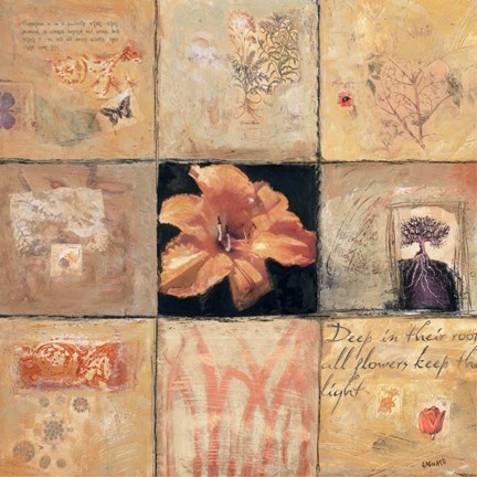 Framed Golden Light Composition I Print