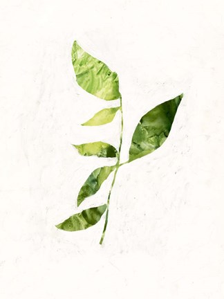 Framed Sapling III Print