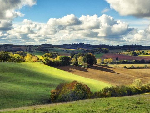 Framed Pastoral Countryside III Print