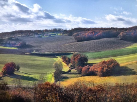 Framed Pastoral Countryside IX Print