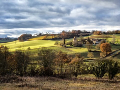 Framed Pastoral Countryside XVIII Print