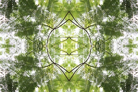 Framed Natural Pattern 60 Print