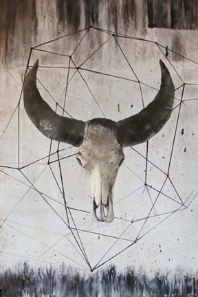 Framed Buffalo Skull 2 Print