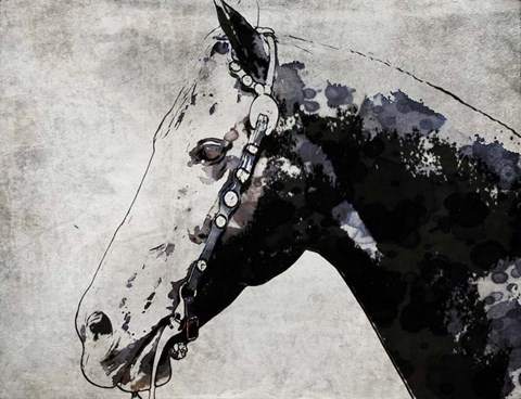 Framed Black Ghost Horse Print