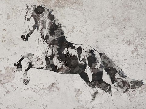 Framed Running Wild Horse 3 Print