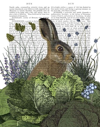 Framed Cabbage Patch Rabbit 3 Print