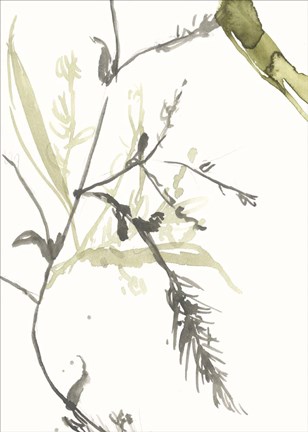 Framed Under Sea Forest V Print