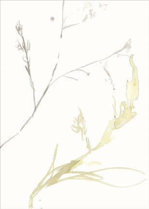 Framed Under Sea Forest IX Print