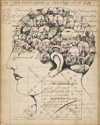 Framed Phrenology Bookpage Print