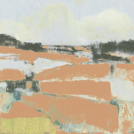 Framed Coral Fields II Print