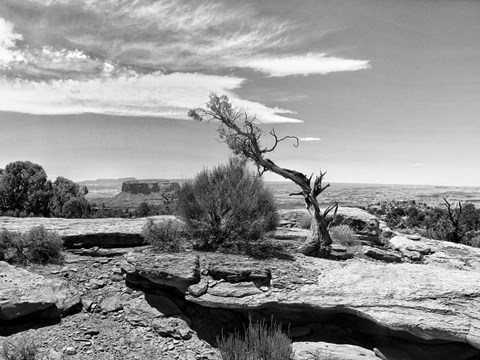 Framed Canyon Lands IV Print