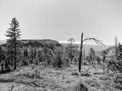 Framed Canyon Lands V Print