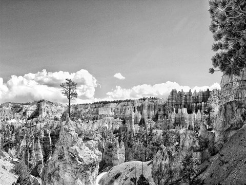 Framed Canyon Lands VI Print