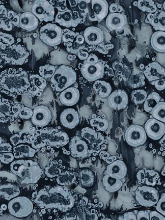 Framed Affix II Print