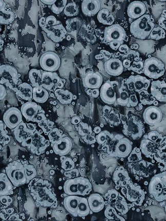 Framed Affix III Print