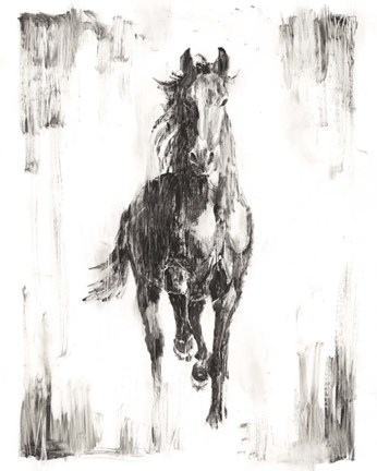 Framed Rustic Black Stallion I Print